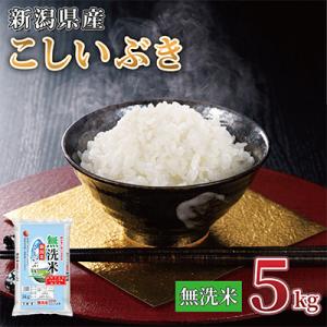 【令和7年産 】新潟県産 こしいぶき 5kg 無洗米 新潟 の美味しい お米