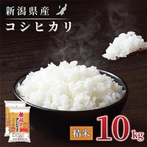 【令和7年産 】新潟県産 コシヒカリ 10kg(5kg×2袋) 精米 新潟 の美味しい お米