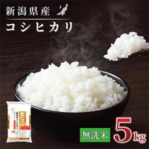 【令和7年産 】新潟県産 コシヒカリ 5kg 無洗米 新潟 の美味しい お米