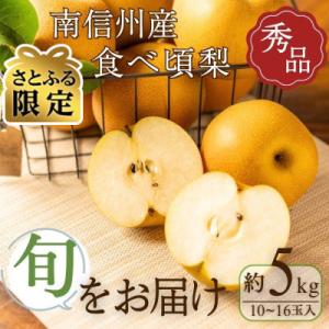 【さとふる限定】【R8年発送】旬の梨 秀品 約5kg(10～16玉入) ※時期により旬の品種を発送※