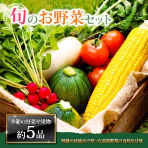 季節のお野菜セットM 旬のお野菜の中から約5品を厳選してお届け