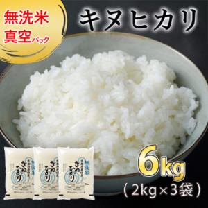 【令和7年産】無洗米 真空パック 京都丹波産 キヌヒカリ 6kg(2kg×3袋)※お申込後精米