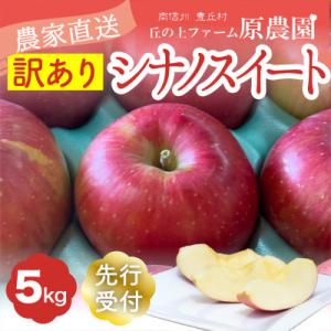 【丘の上ファーム】りんご「シナノスイート」訳あり5kg(11-20玉)2026年10月より発送