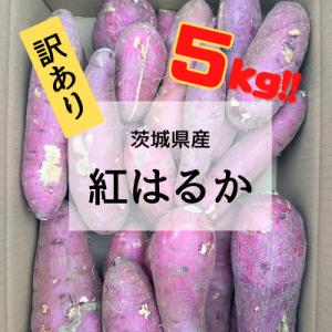 【先行受注・数量限定】11月より順次発送　訳アリ 5kg 茨城県産 紅はるか