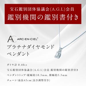 ふるさと納税 泉佐野市 アルカンシェル プラチ...の詳細画像3