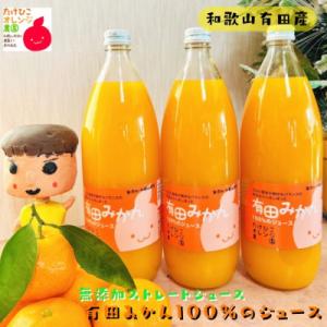 【数量限定】【大人気】【無添加ストレート】有田みかん100%のジュース1,000ml×3本セット