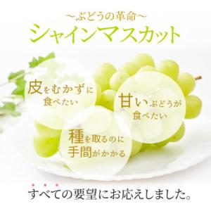 ふるさと納税 浅口市 2026年発送 岡山産 ...の詳細画像2