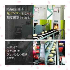 ふるさと納税 浅口市 2026年発送 岡山産 ...の詳細画像2