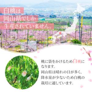 ふるさと納税 浅口市 2026年発送 岡山産 ...の詳細画像1