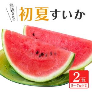 ふるさと納税 国頭村 【先行受付・2027年6月上旬から順次】島袋さんの初夏スイカ大玉 2玉(1玉5.0〜7.0kg)