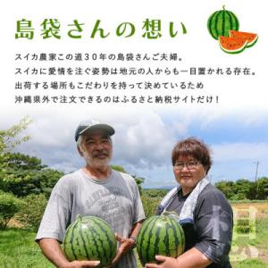 ふるさと納税 国頭村 【先行受付・2027年6...の詳細画像3