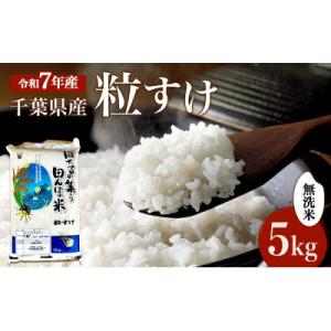 新米　令和7年 粒すけ 5kg 千葉産 乾式 無洗米[53680048]