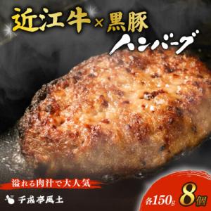 千成亭 近江牛と黒豚のハンバーグ8個 ソース付き