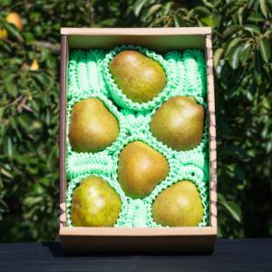 2026年予約分 【GI登録品】特秀品「ラ・フランス」2kg 化粧箱入り(5～9玉)