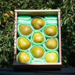 2026年予約分 【GI登録品】特秀品「ラ・フランス」3kg 化粧箱入り(7～12玉)
