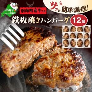 レンジOK 鉄板焼き ハンバーグ 12個 セット 湯煎 レンジ 個包装 冷凍 北海道 別海町産牛入り
