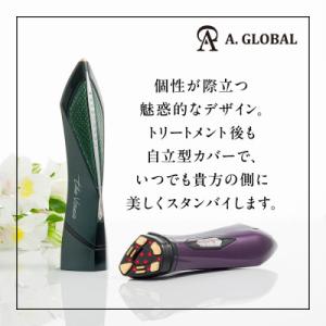 ふるさと納税 羽島市 the Vzusa i ...の詳細画像3