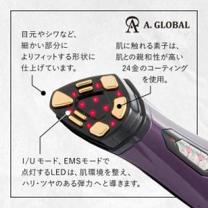 ふるさと納税 羽島市 the Vzusa i ...の詳細画像2