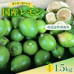 国産レモン 訳あり1.5kg(県認証特別栽培)