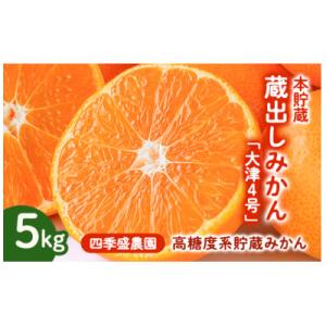 ふるさと納税 和泉市 四季盛農園の本貯蔵 蔵出しみかん5Kg　【1月中旬頃から順次発送】