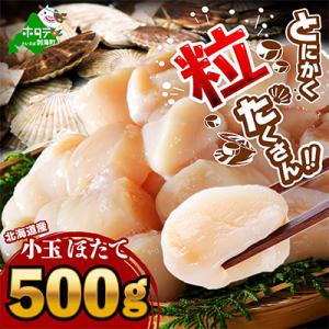 北海道産 ほたて貝柱 500g 刺身用 お料理に便利 小玉 別海町ふるさと納税 冷凍帆立貝柱玉冷