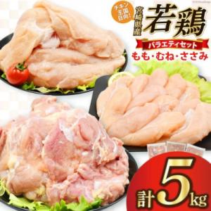 宮崎県産若鶏5kgセット(もも2kg むね2kg ささみ1kg)(日向市)