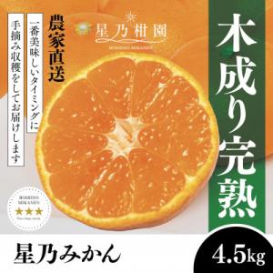 【三つ星ブランド】星乃みかん(4.5kg)【B45-90】