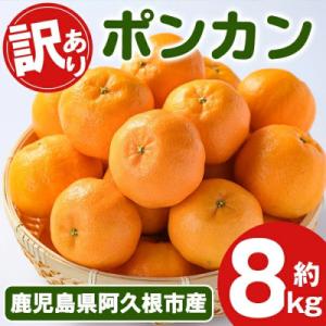 【先行受付】鹿児島県 阿久根市 訳あり 数量限定 ポンカン約8kg akn093-05