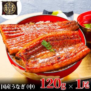大五のうなぎ蒲焼　120g×1尾　国産うなぎ(中サイズ)