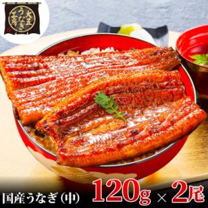 大五のうなぎ蒲焼　240g(120g×2尾)　国産うなぎ(中サイズ)