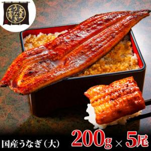 大五のうなぎ蒲焼　1kg(200g×5尾)　国産うなぎ(大サイズ)