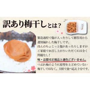 ふるさと納税 すさみ町 訳あり無選別 紀州南高...の詳細画像2