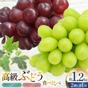 【先行予約】令和8年産高級ぶどう(シャインマスカット・マイハート)詰め合わせ2房計約1.2kg