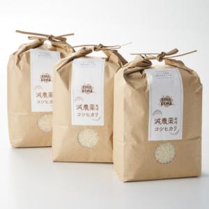 R7年産 濃厚な甘み! 岩船産コシヒカリ 精米6kg(2kg×3袋)[農家民宿おくやま]
