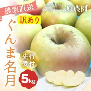 【丘の上ファーム】りんご「ぐんま名月」訳あり5kg(11-20玉)　2026年10月より発送
