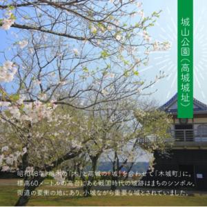 ふるさと納税 木城町 【返礼品なし】宮崎県木城...の詳細画像1