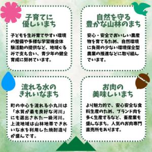 ふるさと納税 木城町 【返礼品なし】宮崎県木城...の詳細画像3