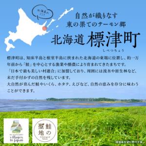 ふるさと納税 標津町 【返礼品なし】北海道標津...の詳細画像1