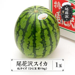 ふるさと納税 尾花沢市 先行受付 尾花沢スイカ 6Lサイズ(約11kg)×1玉 令和8年産 ns-su6xx1