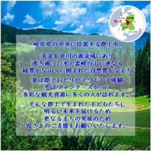 ふるさと納税 郡上市 【返礼品なし】岐阜県郡上...の詳細画像1
