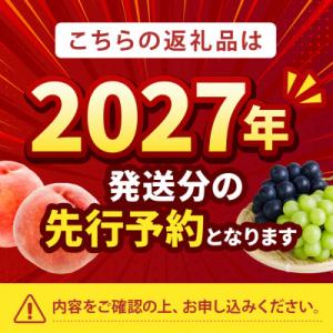 ふるさと納税 山梨市 2027年発送先行受付【...の詳細画像1