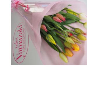 ふるさと納税 朝日町 富山県朝日町産チューリップ切花　20本入り