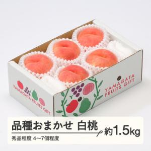 R8年産白桃 品種おまかせ秀品程度 約1.5kg(4～7個程度) 山形県産 tf-moyws1500