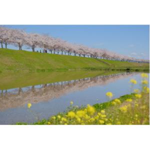 ふるさと納税 小野市 【返礼品なし】小野市応援寄附金の詳細画像2
