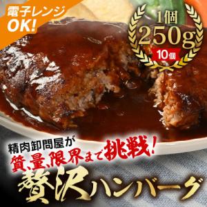 【250g×10個】精肉卸問屋が自信をもってお届けする贅沢ハンバーグ(デミグラスソース)・T098