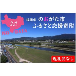 ふるさと納税 直方市 【返礼品なし】福岡県直方市 健康・福祉の充実プロジェクト応援寄附(1,000円)