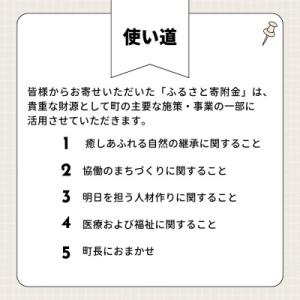 ふるさと納税 篠栗町 【返礼品なし】福岡県篠栗...の詳細画像2