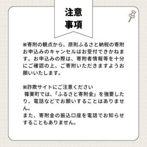 ふるさと納税 篠栗町 【返礼品なし】福岡県篠栗...の詳細画像3