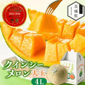 【先行受付】令和9年5月順次発送 茨城県鉾田市 山一ファーム クインシーメロン 大玉4L～5L・1玉
