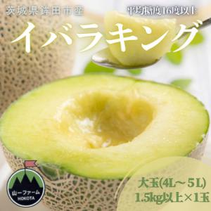 【先行受付】令和9年5月順次発送 茨城県オリジナル品種!!イバラキング 4L～5L・1玉 数量限定